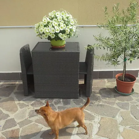 Bed & Breakfast Ciccilia *