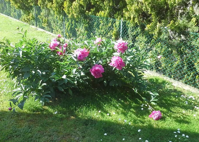 לינה וארוחת בוקר Ciccilia 3*