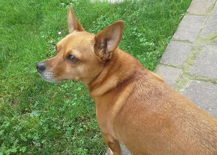 לינה וארוחת בוקר Ciccilia 3*