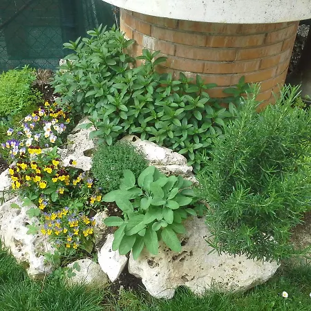 Ciccilia B&B 벤티볼리오