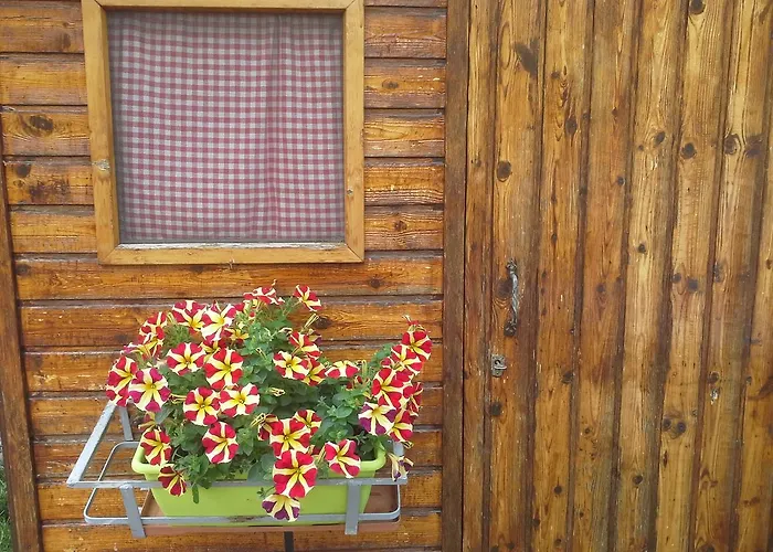 Ciccilia 벤티볼리오