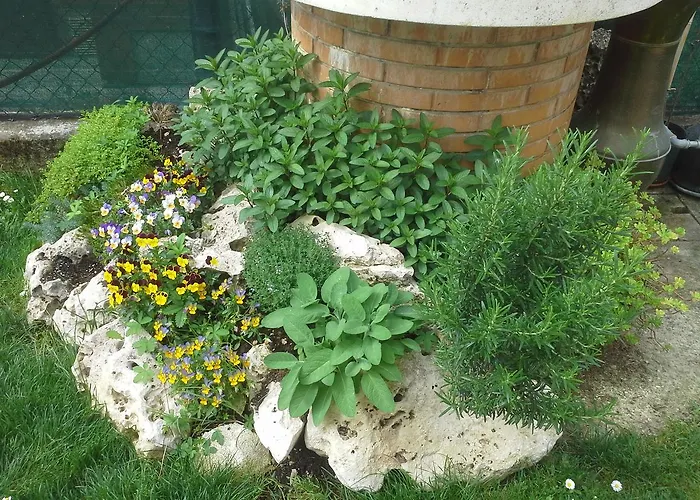 Ciccilia B&B 벤티볼리오